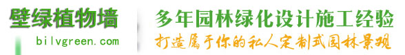 上海植物墙-垂直绿化-立体绿化公司——壁绿植物墙工程有限公司